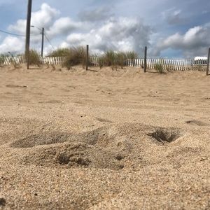 Meet your Posher, Riley